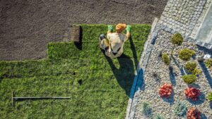 Landscape Design: Artificial Turf Lawn in Fredericksburg, Virginia