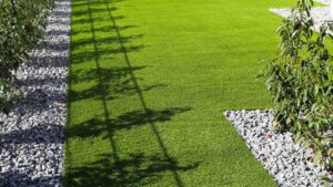 Landscape Design: Synthetic Turf Lawns in Fredericksburg, Virginia